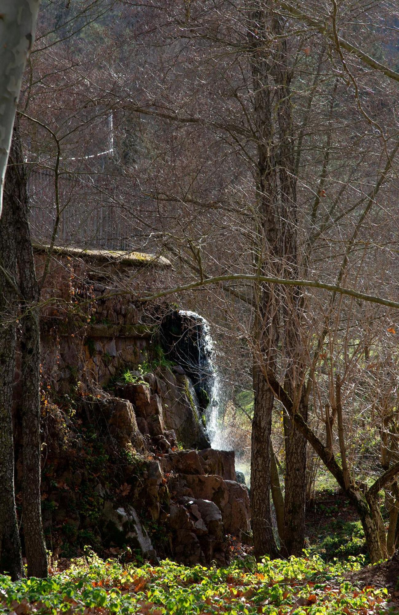 Casa Fabregas - Benestar Natural Viladrau Luaran gambar